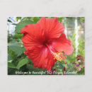 Search for virginity postcards Caribbean