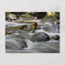 Search for drop postcards Beautiful