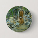 Search for chipmunks badges Wildlife