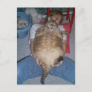 Search for ugly postcards Fat