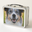 Search for photo lunch boxes Pet