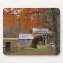 Search for parkway mousepads Charles gurche