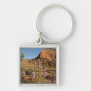 Search for ditto key rings Landscape