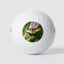 Search for butterfly golf balls Wildlife