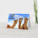 Search for funny camel birthday cards Friend