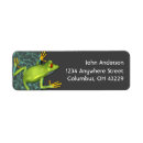 Search for tree frog return address labels Frogs