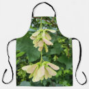 Search for seed aprons Botanical
