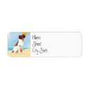 Search for smooth labels Sft