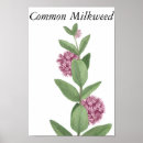 Search for common art Botanical
