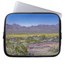 Search for public land cases Scenic