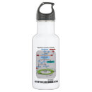 Search for cell cycle Biology