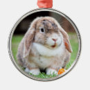 Search for lop rabbit christmas tree decorations Animal