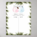 Search for gender reveal games He or she