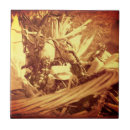 Search for corning tiles Indian corn