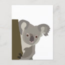 Search for cute koala postcards Illustration