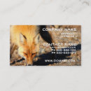 Search for foxes business cards Red fox