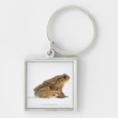 Search for toad key rings Animal