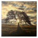 Search for oak tree tiles Nature