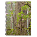 Search for redwood city Forest
