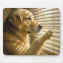Search for golden retriever mousepads Dog