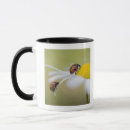 Search for hokkaido mugs Horizontal