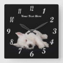 Search for westie clocks Cute