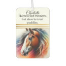 Search for horse car air fresheners Nature