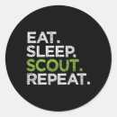 Search for leader stickers Scouting