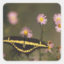 Search for filter stickers Nature