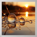 Search for calm peaceful posters Zen