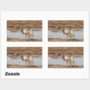 Search for reindeers stickers Animal