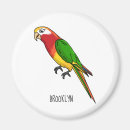Search for parrot magnets Tropical bird