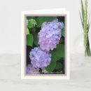 Search for retirement wishes Fun