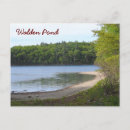Search for walden Thoreau