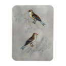 Search for two birds magnets Animals