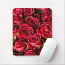 Search for red rose mouse Pink roses