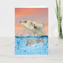 Search for angler fisherman cards Water