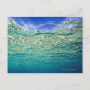 Search for topic postcards Water