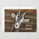 Search for goat birthday invitations Cute