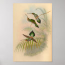 Search for turquoise flowers posters Green