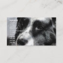 Search for herd business cards Nature