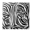 Search for animal print tiles Modern