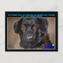 Search for humour postcards Pets
