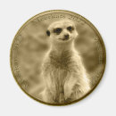 Search for coins magnets Currency