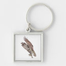 Search for wild fish key rings Predator