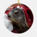Search for groundhog christmas tree decorations Woodchuck