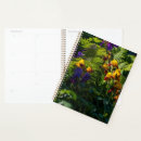 Search for ferns planners Plants