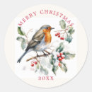 Search for christmas robin stickers Holly