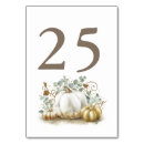 Search for pumpkins table cards Autumn