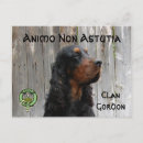 Search for gordon postcards Dog